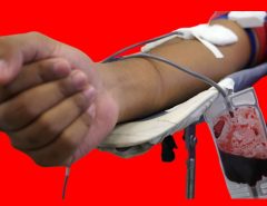 Hoje não tens o que fazer: doe sangue