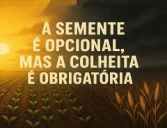 🌱 A Semente é Opcional, Mas a Colheita é Obrigatória