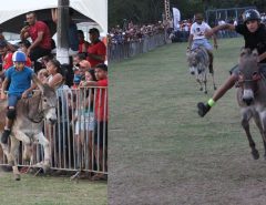 Corrida de Jegue no Parque Otaviano Pessoa acontece neste domingo (19)
