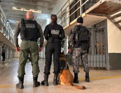Brasil contra o Crime Organizado apreende celulares em presídios de 15 estados