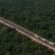 O gigante de aço escondido na Amazônia: o maior trem em operação regular do planeta cruza o Brasil todos os dias