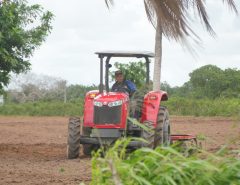 Programa Corte de Terra 2026 já beneficiou 1.650 famílias em Macaíba