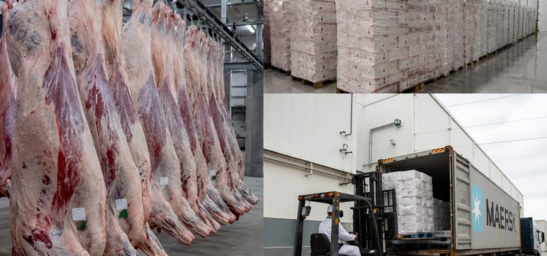 China taxa carne brasileira em 55% e silêncio seletivo expõe incoerência no debate político