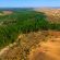 Grande Muralha Verde da China: uma lição para salvar o planeta