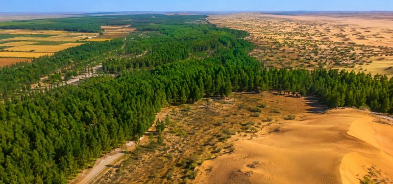 Grande Muralha Verde da China: uma lição para salvar o planeta