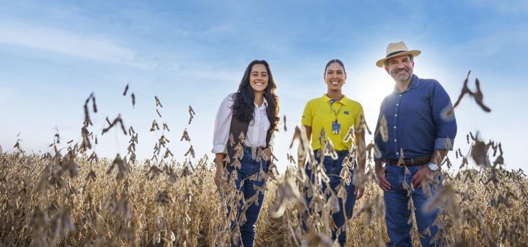 Após anos de perdas, produtores nordestinos podem reorganizar suas dívidas