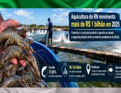Aquicultura do RN movimenta mais de R$ 1 bilhão e mantém estado entre os maiores produtores de camarão