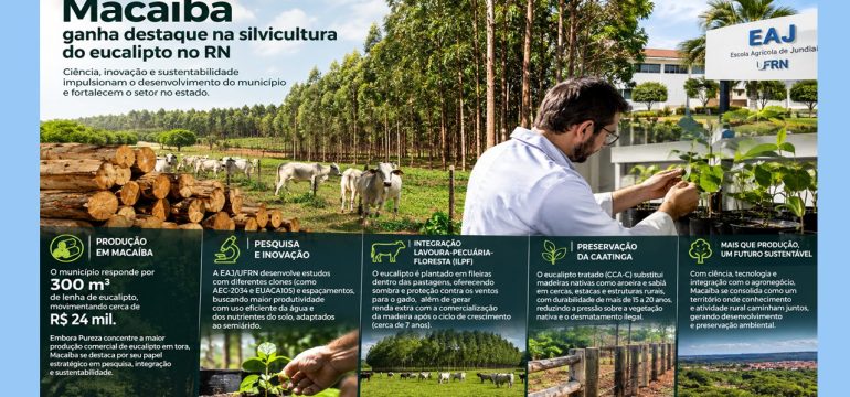 Macaíba se destaca na silvicultura do eucalipto no Rio Grande do Norte