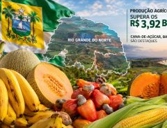Produção agrícola do RN supera os R$ 3,92 bilhões em 2025