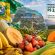 Produção agrícola do RN supera os R$ 3,92 bilhões em 2025