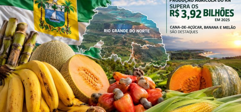 Produção agrícola do RN supera os R$ 3,92 bilhões em 2025