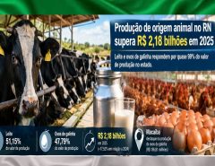 Produção animal do RN supera R$ 2,18 bilhões em 2025, aponta IBGE