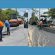Prefeitura segue programa de pavimentação asfáltica em Bela Macaíba