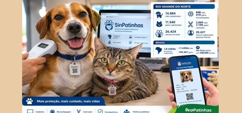 Rio Grande do Norte tem 26 mil animais domésticos cadastrados no SinPatinhas
